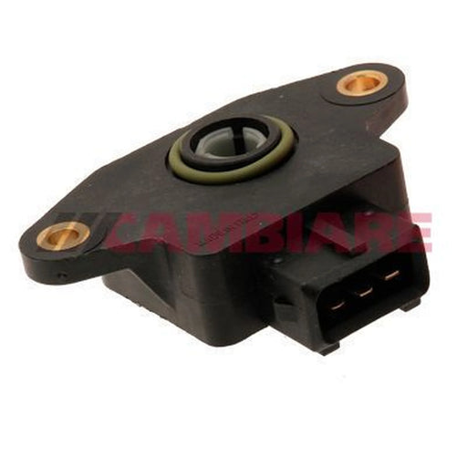 Cambiare Throttle Position Sensor VE378004