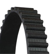 Continental CTAM Timing Belt Cambelt 125 Teeth fits Daewoo Aranos 1995-1997 1.8