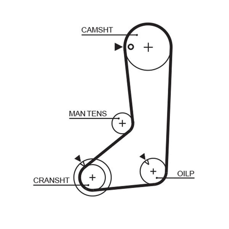 Gates Timing Belt Cambelt 123 Teeth fits Hyundai H-1 2000-2004 2.4
