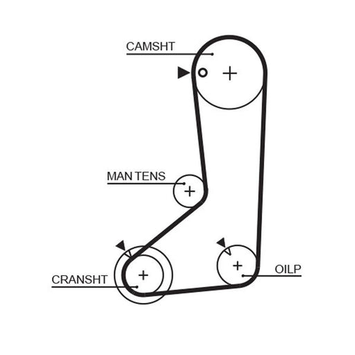 Gates Timing Belt Cambelt 123 Teeth fits Hyundai H-1 2000-2004 2.4