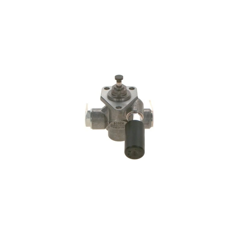 Bosch Fuel Pump Assembly