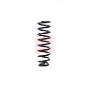 Apec Rear Suspension Coil Spring ACS1396