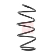 Apec Front Suspension Coil Spring fits BMW X3 2010-2017