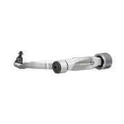 Delphi Control/Trailing Arm Lower