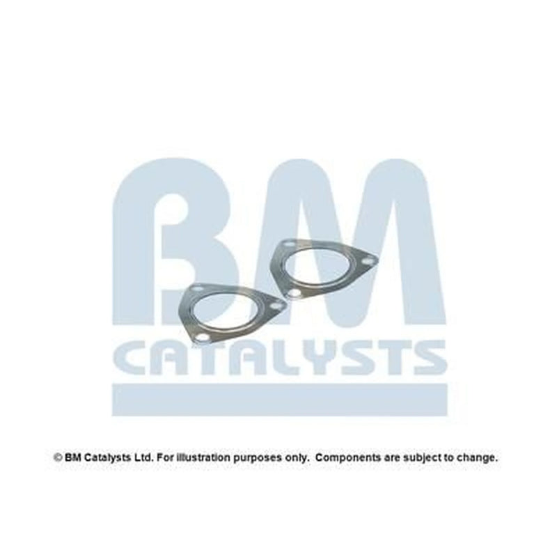 BM Catalysts Fitting Kit FK90829A FK90829A
