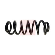 Apec Rear Suspension Coil Spring ACS1906