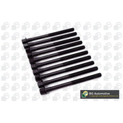 BGA Cylinder Head Bolt Set M10 BK6354