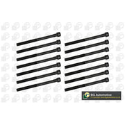 BGA Cylinder Head Bolt Set M12 BK5364
