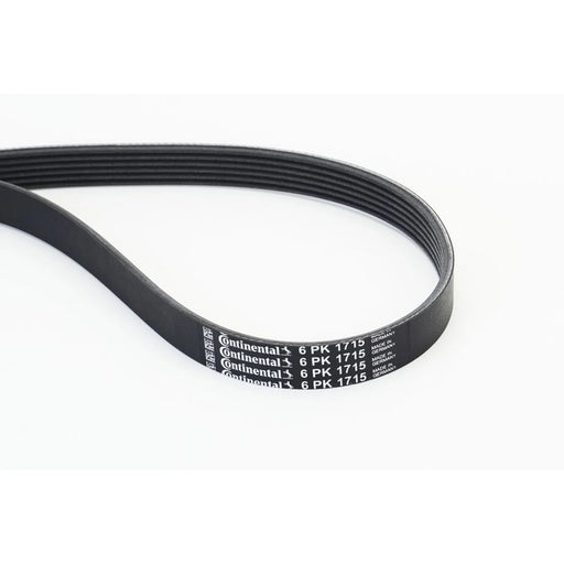 Continental CTAM Multi V-Ribbed Drive Belt fits BMW 2 Active Tourer 2013-2021