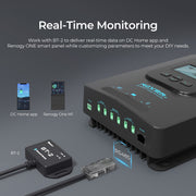 Renogy Rover Li MPPT Solar Charge Controller Dyna-mo Solar - Dynamic Drive