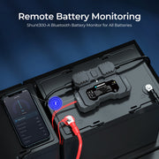 Renogy Renogy Battery Shunt 300 Dyna-mo Solar - Dynamic Drive