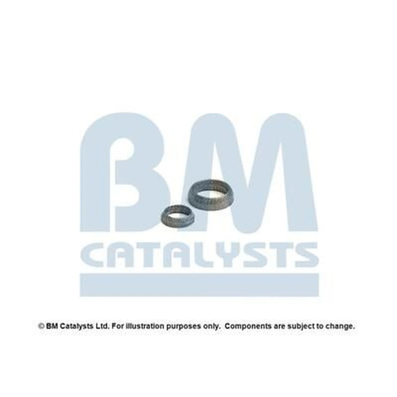 BM Catalysts Fitting Kit FK92090A FK92090A