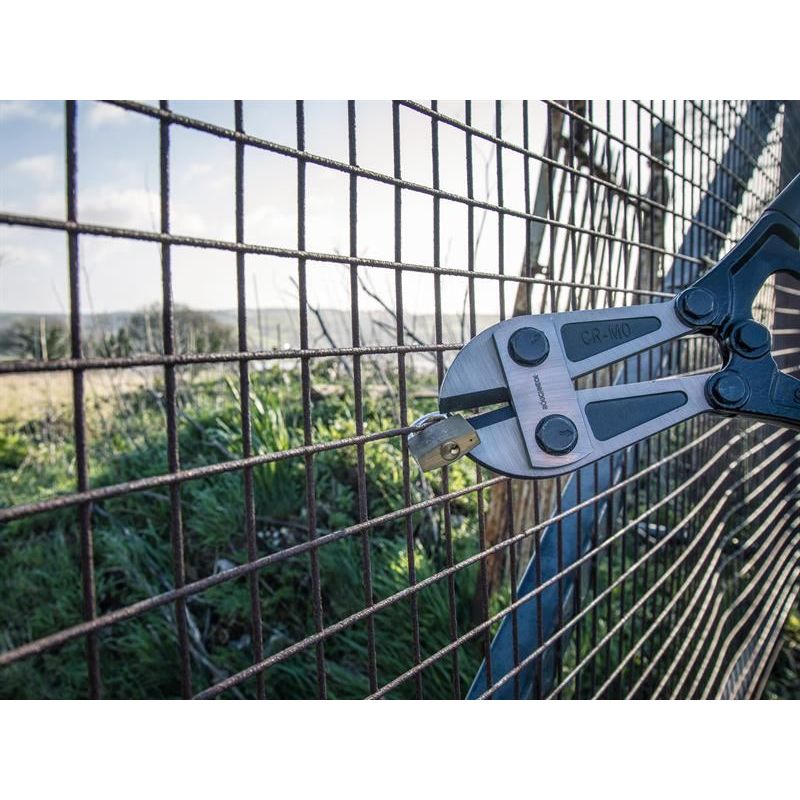Roughneck Professional Bolt Cutters 750mm (30in) Roughneck - Dynamic Drive