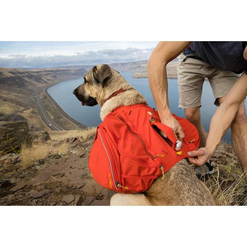 Ruffwear Palisades Dog Backpack in Red Sumac (L / XL) Ruffwear - Bars 4 Cars