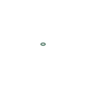 Bosch Sealing Ring Gasket