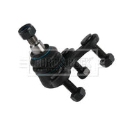 Borg & Beck Ball Joint Lower BBJ5463