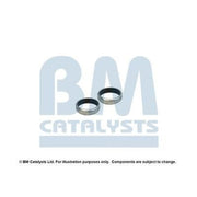 BM Catalysts Exhaust Pipe Mounting Kit FK70354A