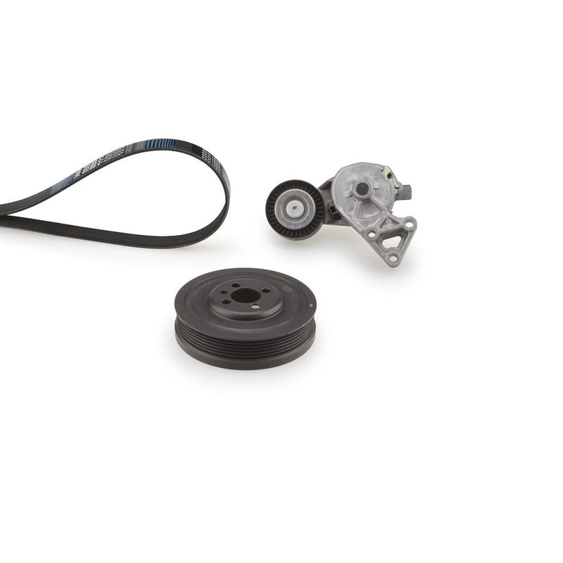 Gates V-Ribbed Belt Set K116DPK1195