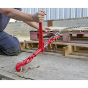 Sealey Ratchet Load Binder 9.5-12.7mm 4200kg Capacity LB002 Sealey - Dynamic Drive