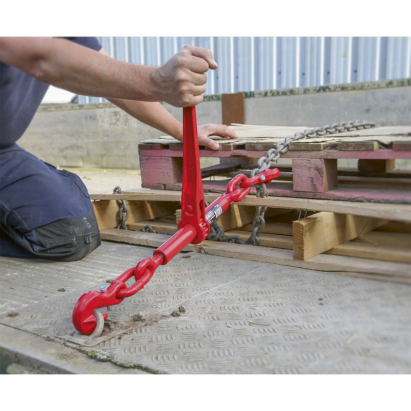 Sealey Ratchet Load Binder 9.5-12.7mm 4200kg Capacity LB002 Sealey - Dynamic Drive