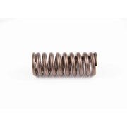 Bosch Compression Spring