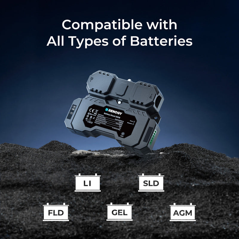Renogy Renogy Battery Shunt 300 Dyna-mo Solar - Dynamic Drive