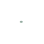 Bosch Sealing Ring Gasket