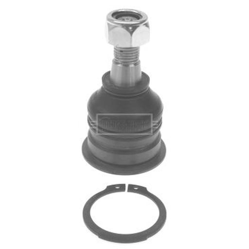 Borg & Beck Ball Joint Lower BBJ5494
