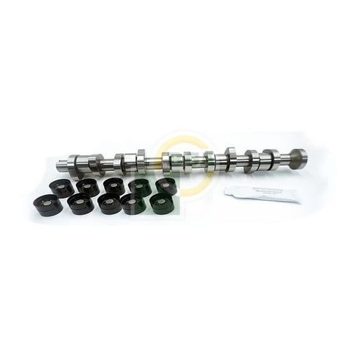 BGA Camshaft Kit Set With Bearings Exhaust Side fits VW Multivan 2003-2009 2.5