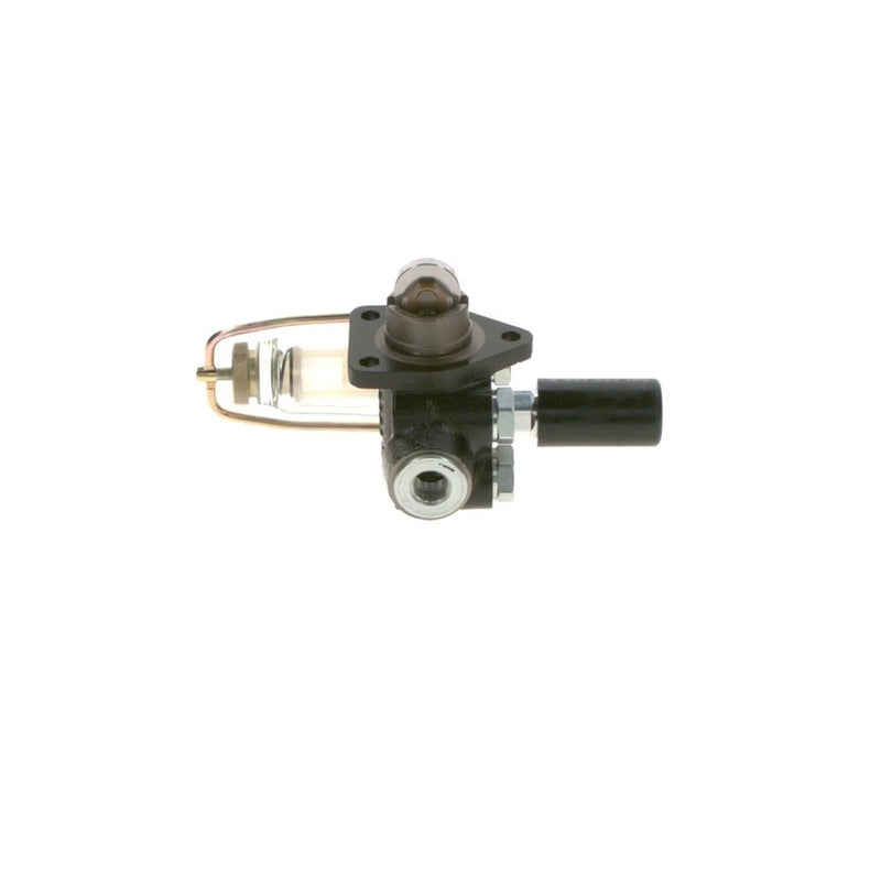 Bosch Fuel Pump Assembly
