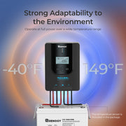 Renogy Rover Li MPPT Solar Charge Controller Dyna-mo Solar - Dynamic Drive
