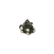 Bosch Fuel Pump Assembly