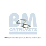 BM Catalysts Fitting Kit FK91974A FK91974A