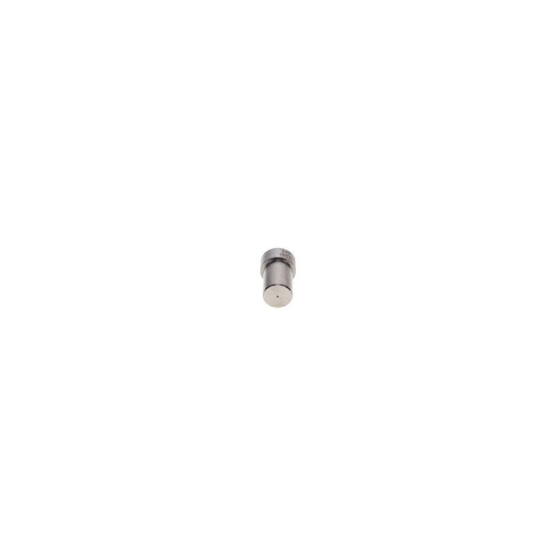 Bosch Diesel Injector Nozzle Tip