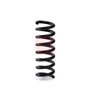 Apec Rear Suspension Coil Spring ACS2062
