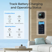 Renogy Renogy Battery Shunt 300 Dyna-mo Solar - Dynamic Drive
