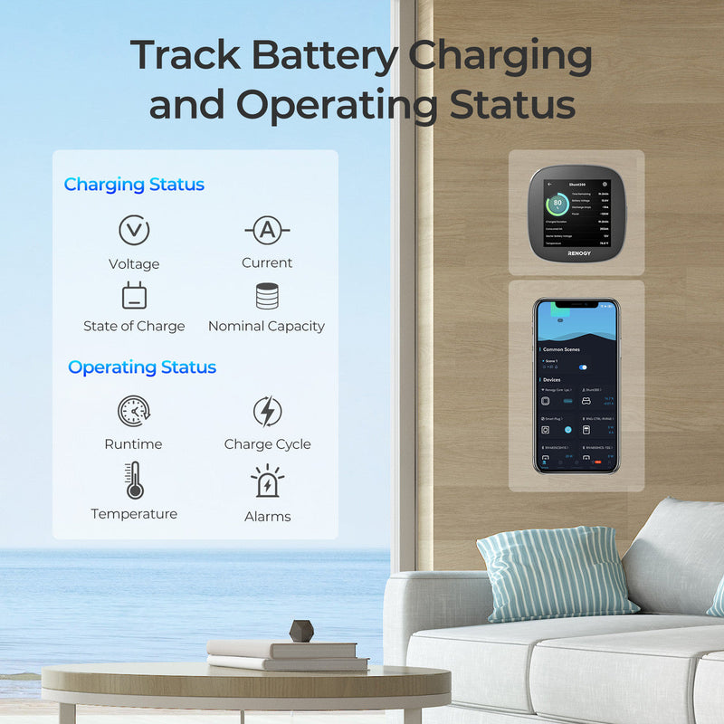 Renogy Renogy Battery Shunt 300 Dyna-mo Solar - Dynamic Drive