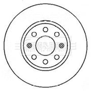 Borg & Beck Front Brake Vented Discs & Pads fits Fiat Punto 2005-2012 1.4