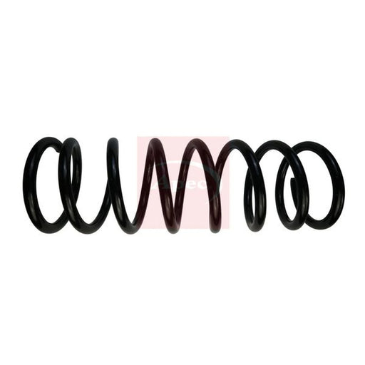 Apec Rear Suspension Coil Spring ACS1792
