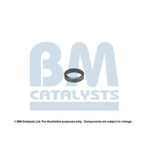 BM Catalysts Fitting Kit FK91328A FK91328A