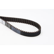 Continental CTAM Timing Belt Cambelt 137 Teeth fits Seat Cordoba 1993-2002 1.6
