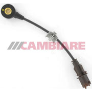 Cambiare Engine Knock Sensor VE369161