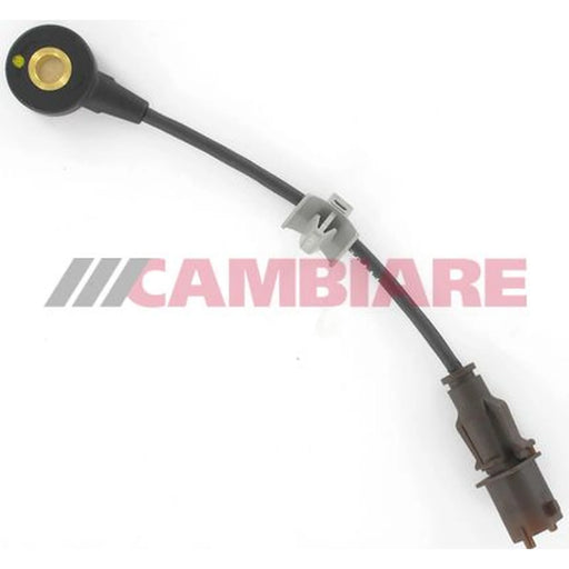 Cambiare Engine Knock Sensor VE369161