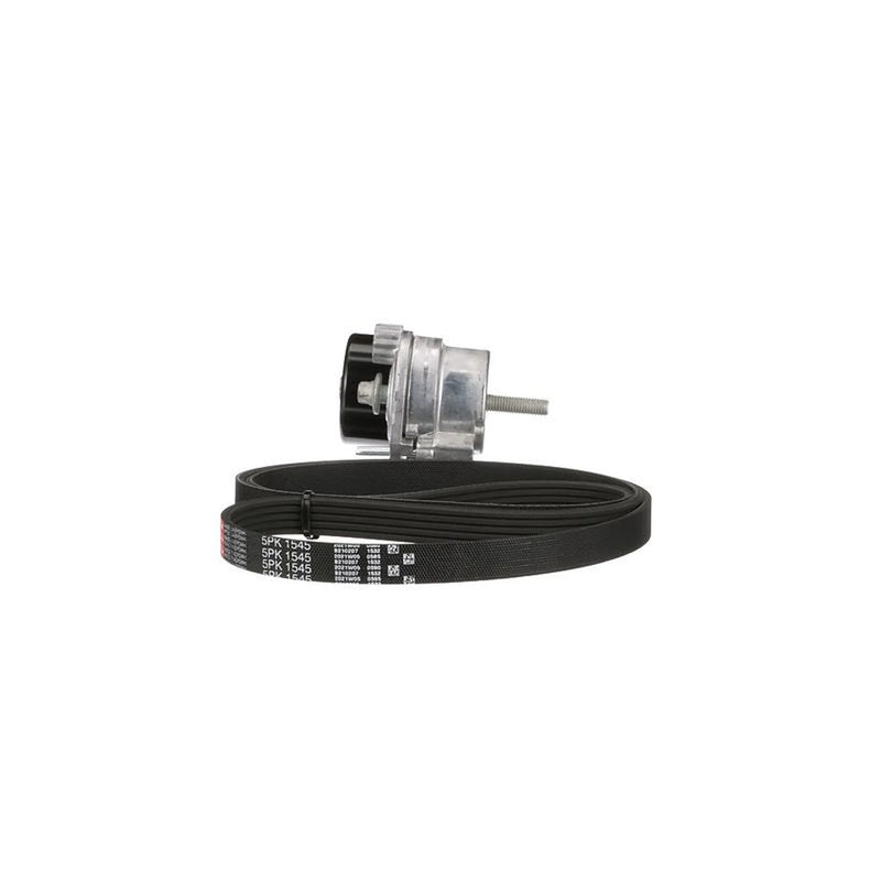 Gates V-Ribbed Belt Set K055PK1545