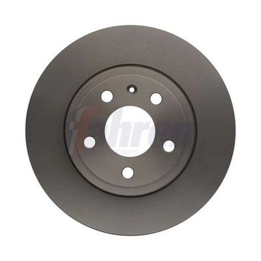 Fahren 2 x Solid Rear Brake Discs FBD6416-x2
