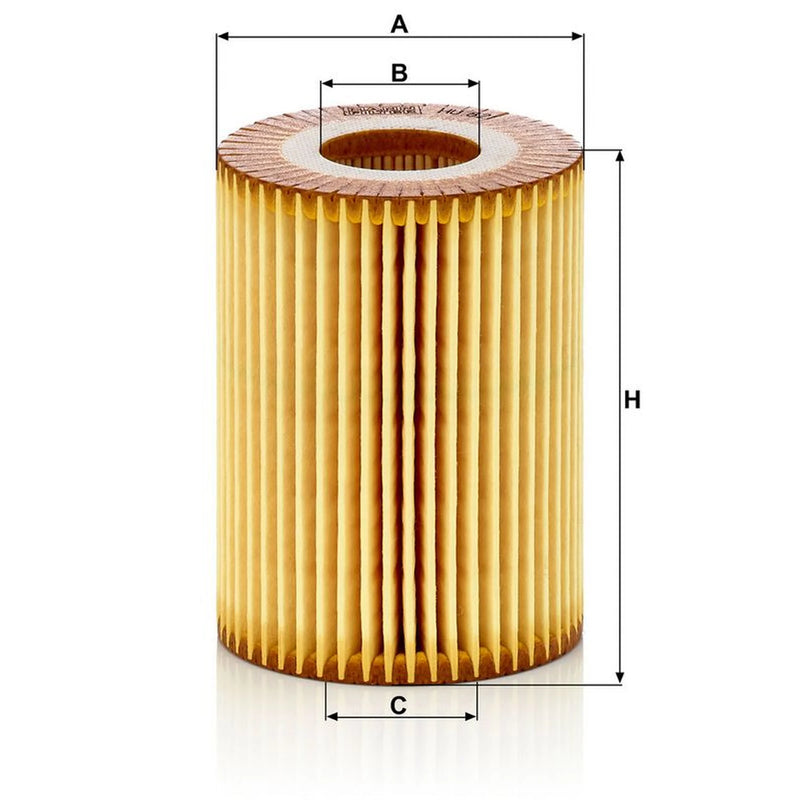 MANN-FILTER Service Kit with Air & Oil Filters fits Mercedes-Benz G-Class