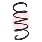 Apec Front Suspension Coil Spring ACS1601