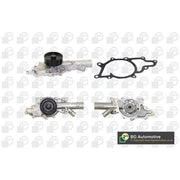 BGA Engine Cooling Water Pump CP7138T