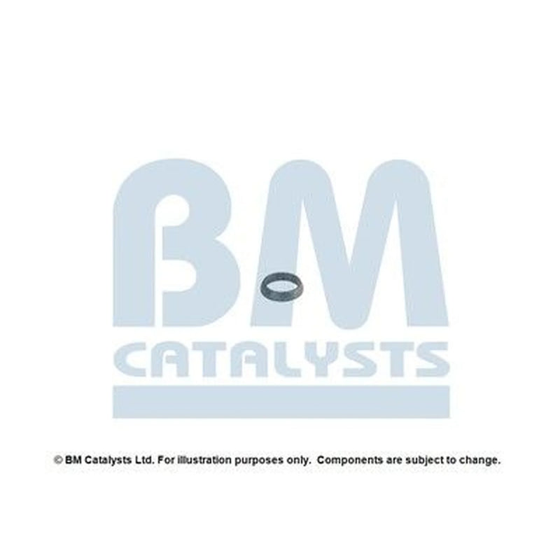BM Catalysts Fitting Kit FK92384A FK92384A