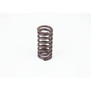 Bosch Compression Spring